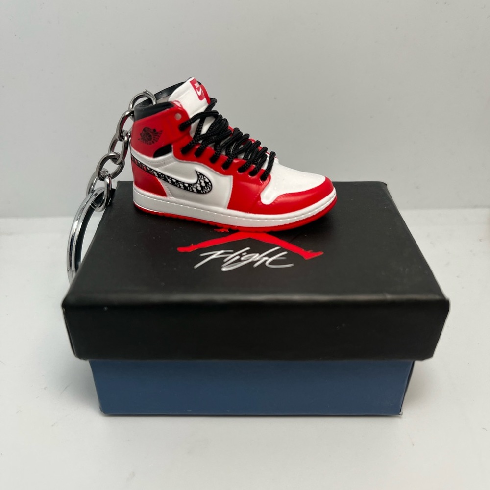 Jordan Dior sneaker keychain